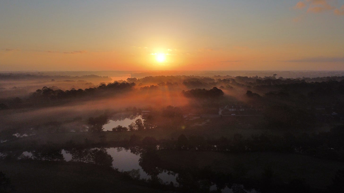 A doomed history we must not repeat by Amy Delcambre