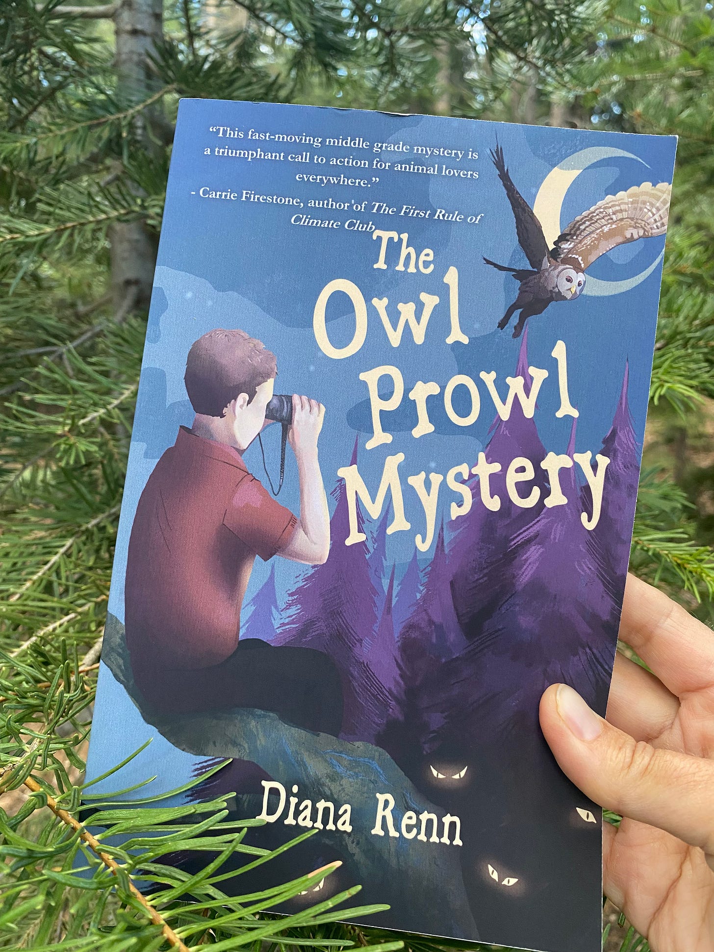 Photo of the cover of the novel THE OWL PROWL MYSTERY, held in one hand, against the backdrop of a pine tree.  The cover is in blues and purples and depicts a boy sitting on a tree branch with binoculars, looking at an owl and a moon; mysteries eyes in the shadow trees below look on.