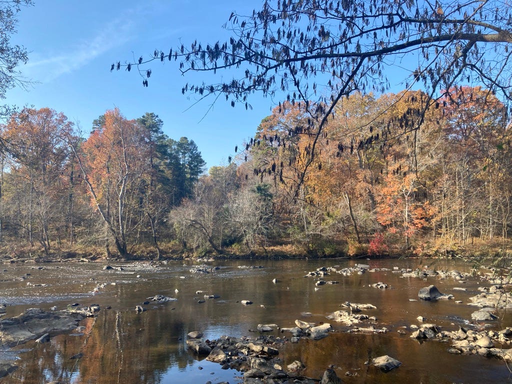 a quiet portion of the Haw River, trees mostly having lost leaves