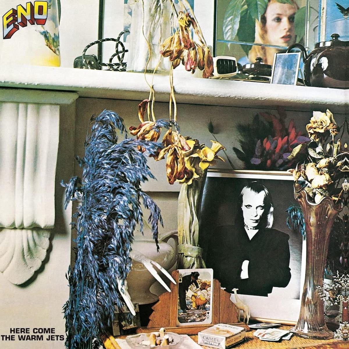 Area Resident's Classic Album Review: Brian Eno | Here Come The Warm Jets -  Tinnitist