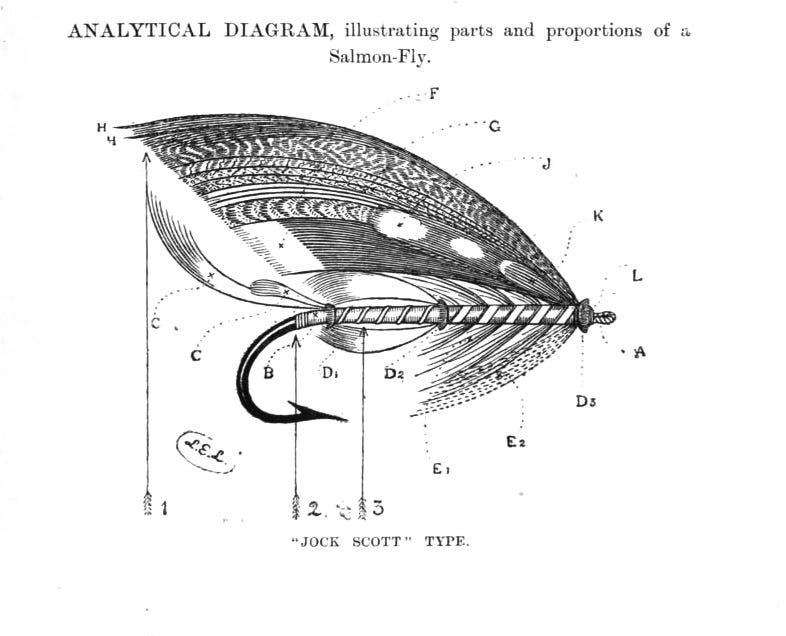 Diagram for a Salmon Fly