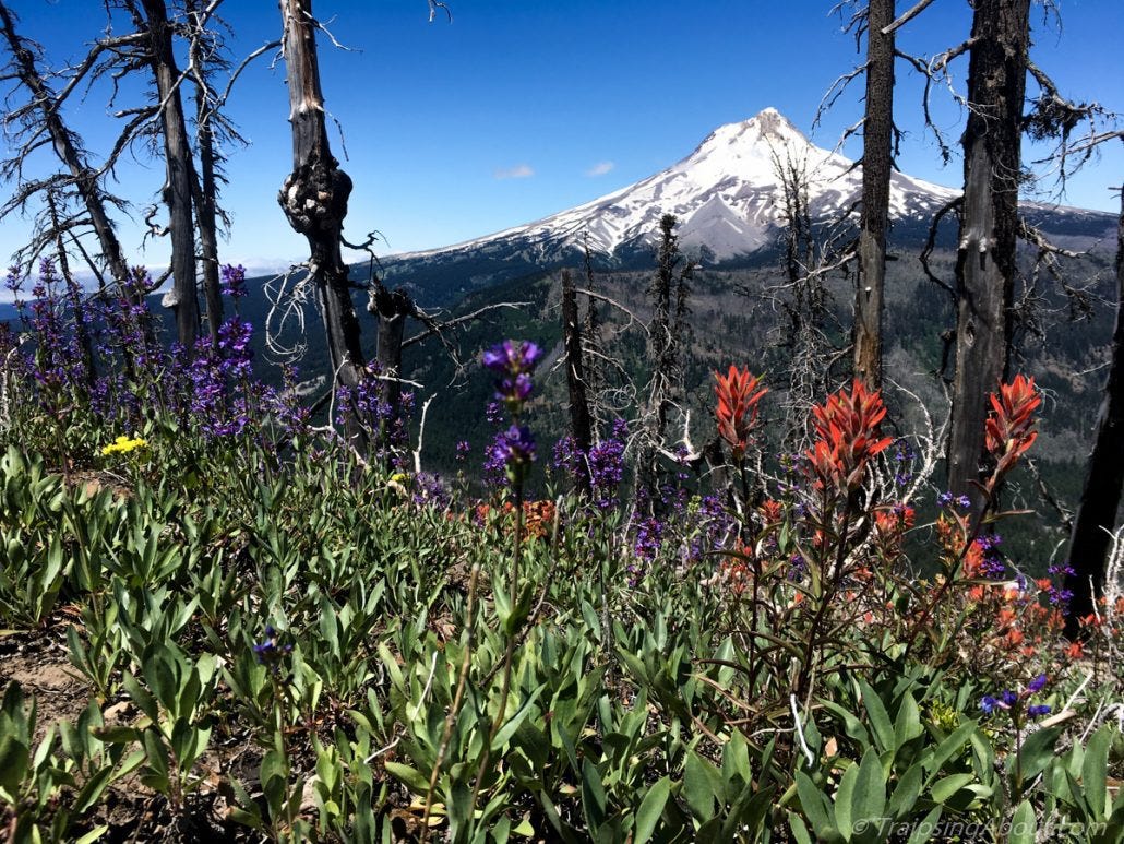 A final vista of Mt. Hood in Oregon before hitting the road east.