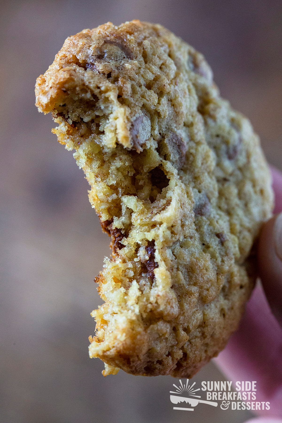 Close up of a single cookie with a bite taken out.