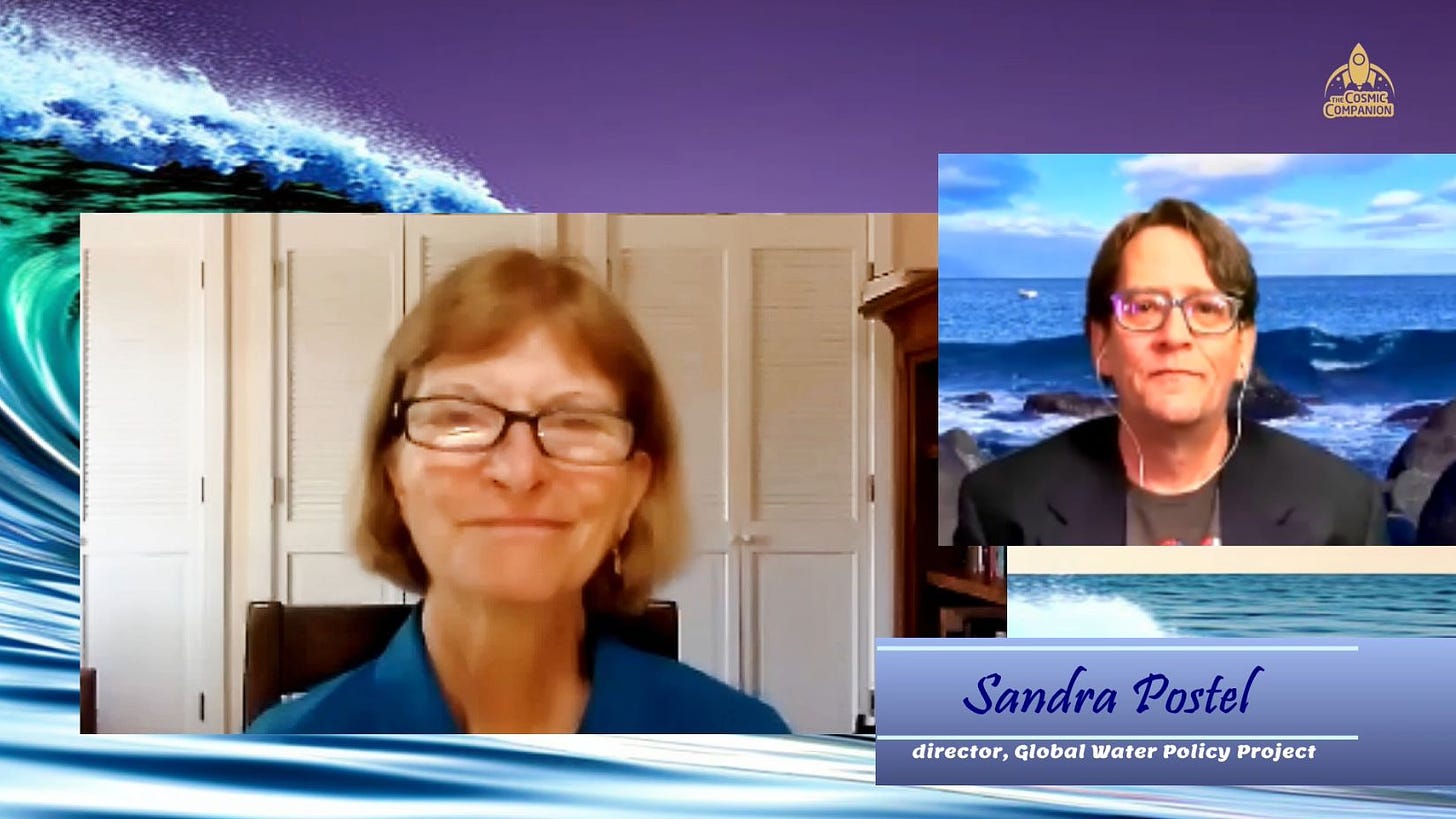 Sandra Postel is seen in one window, talking with James Maynard (with a video of an ocean playing behind him) in another window. THe background is a cartoon image of a blue wave on the left under a purple sky. 