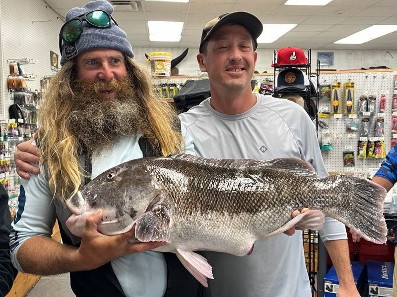 state-record tautog in Rhode Island