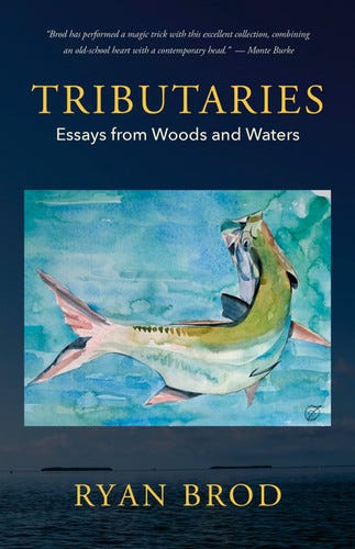 Tributaries | Islandport Press