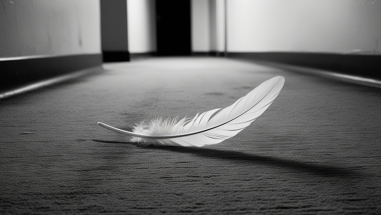 A stark black and white image featuring a solitary, delicately curved turkey feather, its soft barbs and quill gleaming against the dull, grease-stained gray carpet that lines the floor of a worn apartment complex hallway, the feather's gentle curves and subtle textures in striking contrast to the surrounding drabness, with the faintest hint of a shadow suggesting the presence of a wall or nearby obstacle, the overall atmosphere one of quiet abandonment and neglect.