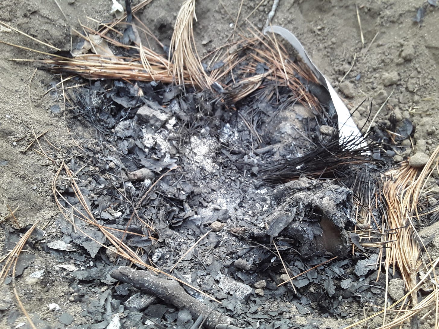 Photograph of the bottom of one fire pit after the rocks were removed, showing burned ashes.