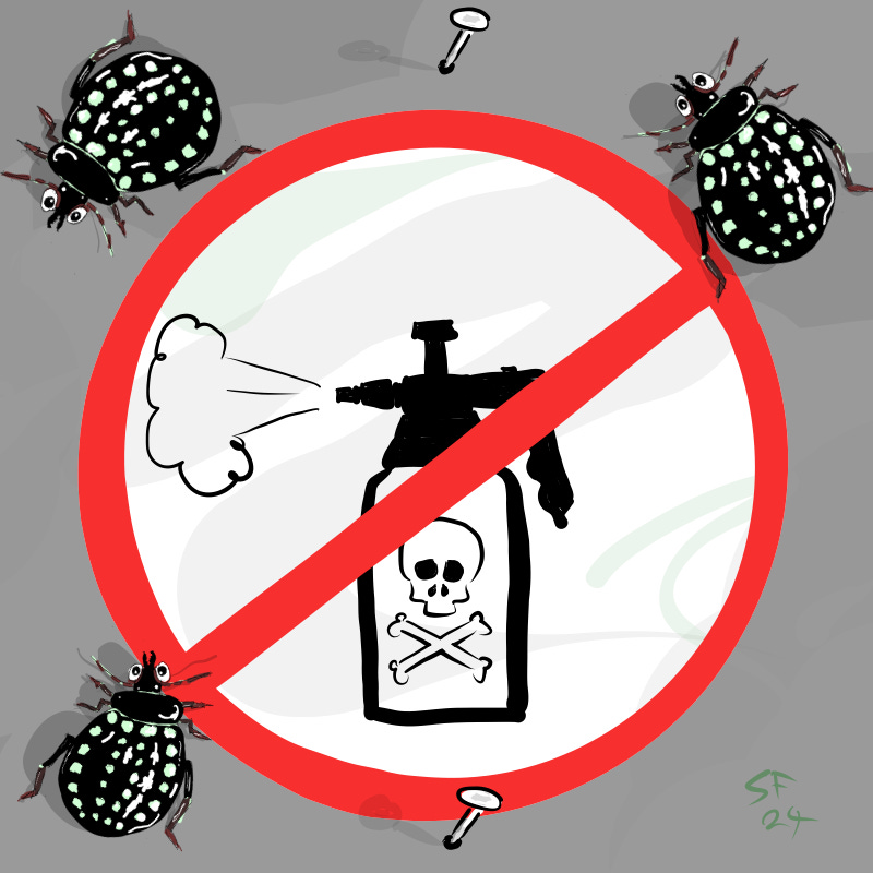 Cartoon: 'no spray' sign with three happy beetles on it.