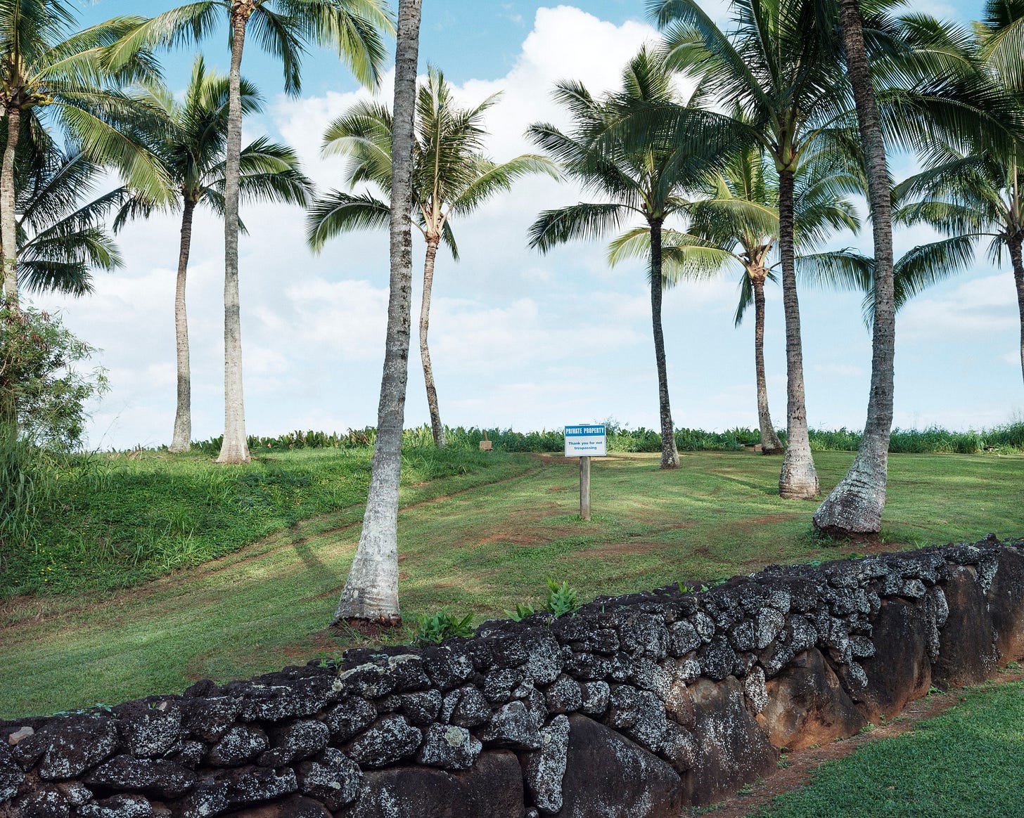 Private property sign and palm trees behind a stone wall