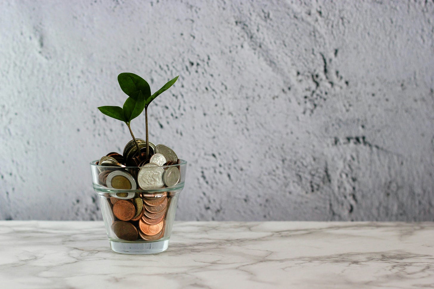 A “money tree” consisting of a drinking glass filled with coins and a sprouting plant appearing to grow from the coins.
