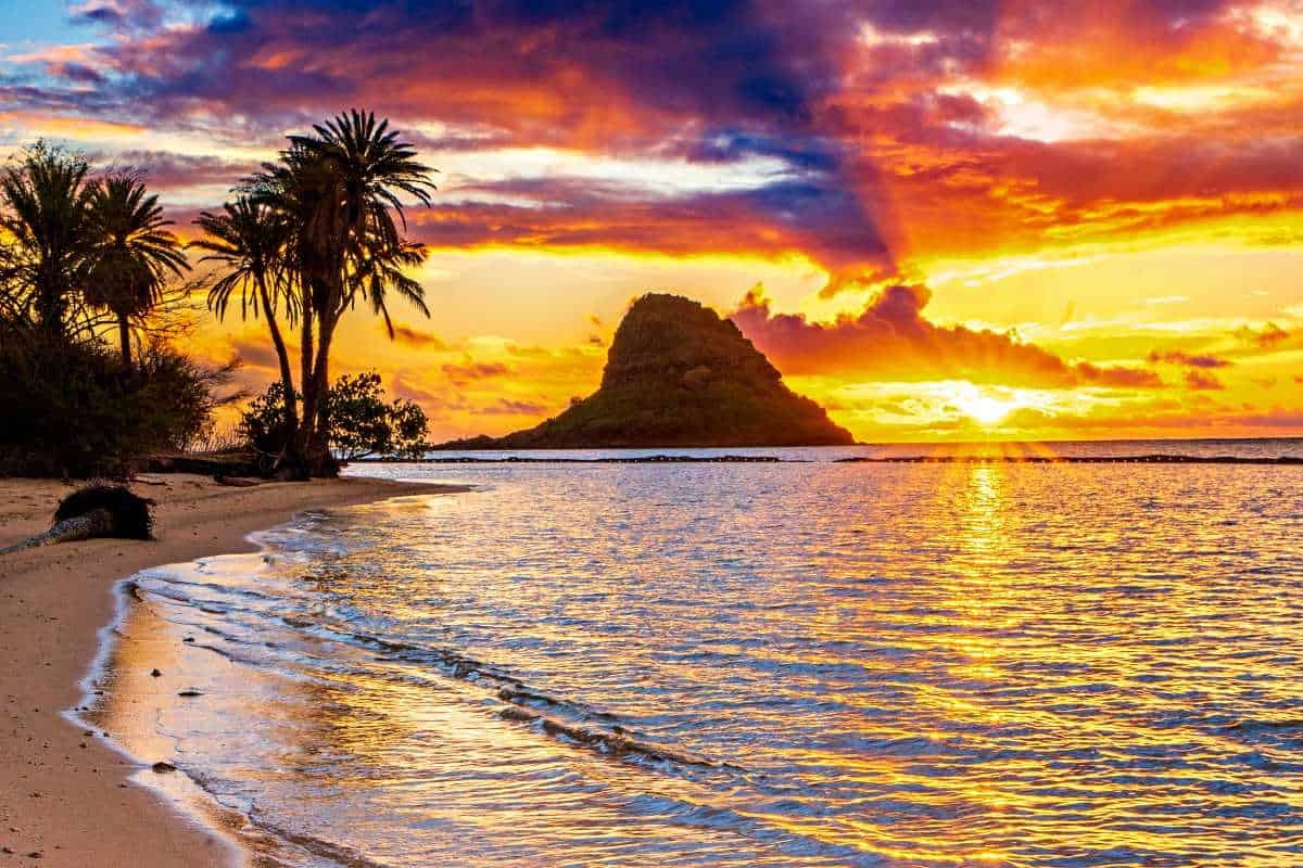 17 Best Oahu Sunrise Hikes & Oahu Sunrise Locations: 2024 Guide