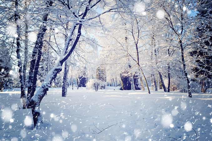 Photographing Falling Snow