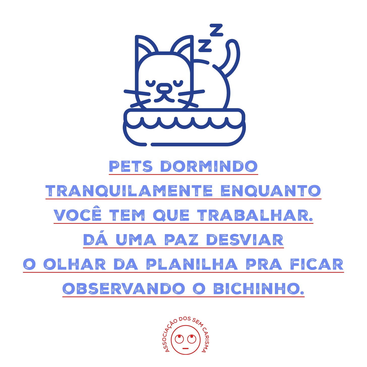 Pets dormindo tranquilamente enquanto você tem que trabalhar. Dá uma paz desviar o olhar da planilha pra ficar observando o bichinho. 