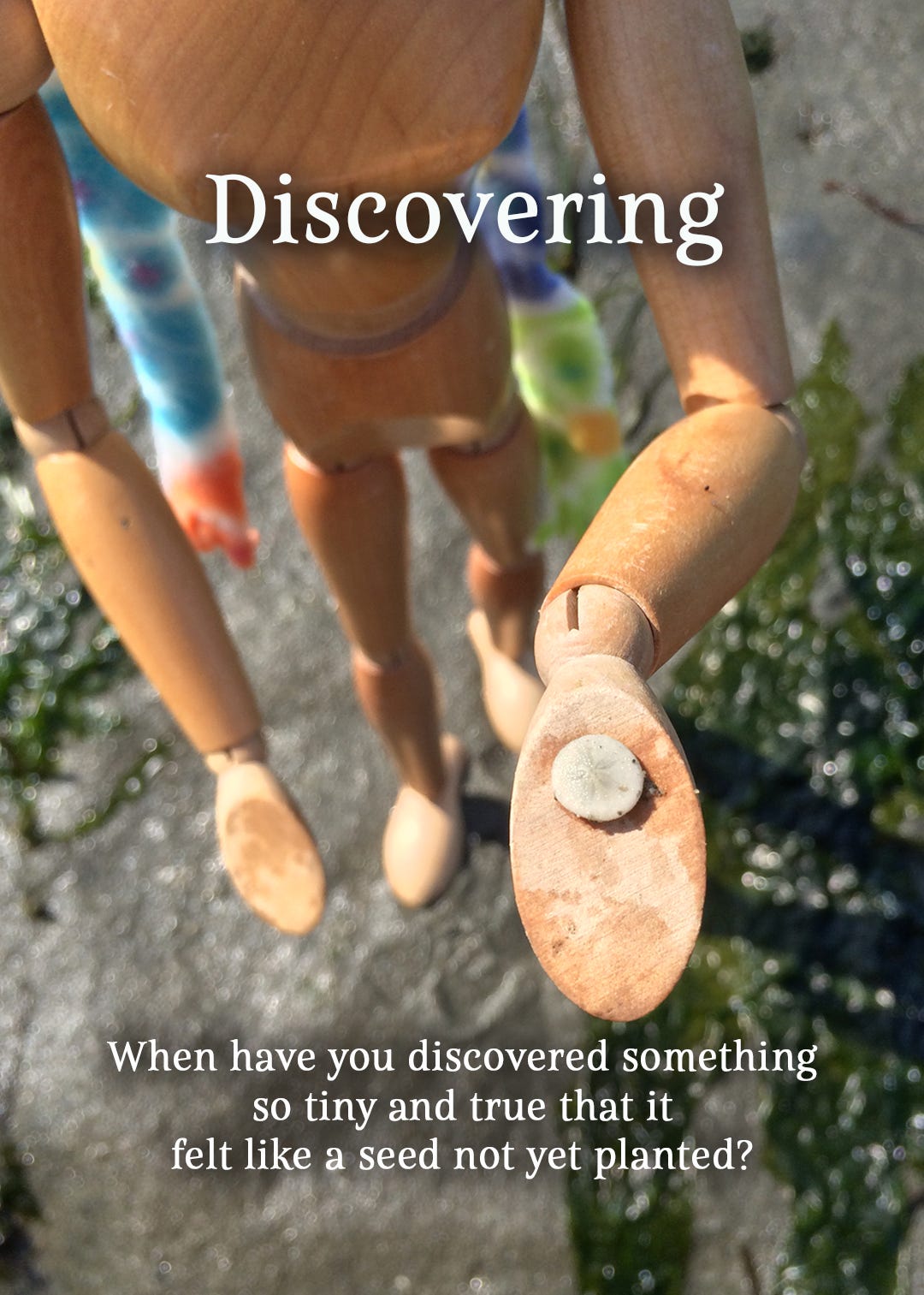 Emotikin is viewed from top down, holding a miniscule sand dollar in her palm. The image is titled Discovering and the text question says When have you discovered something so tiny and true that it felt like a seed not yet planted?