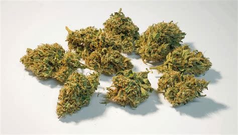 How To Dry And Cure Cannabis Buds - GrowDiaries