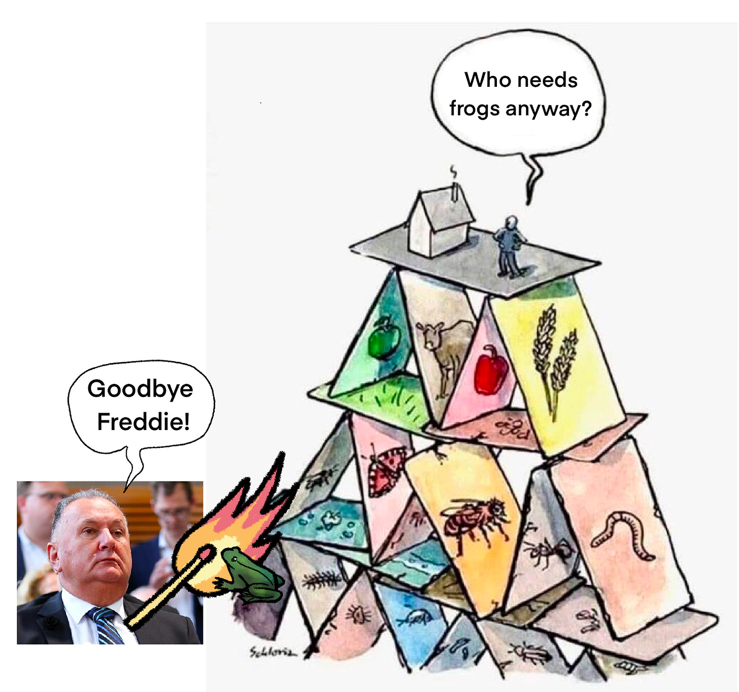 A house of cards depicting animals and plants of all kinds, with a human at the top. Shane Jones is setting fire to a frog at the bottom of the house of cards, saying 