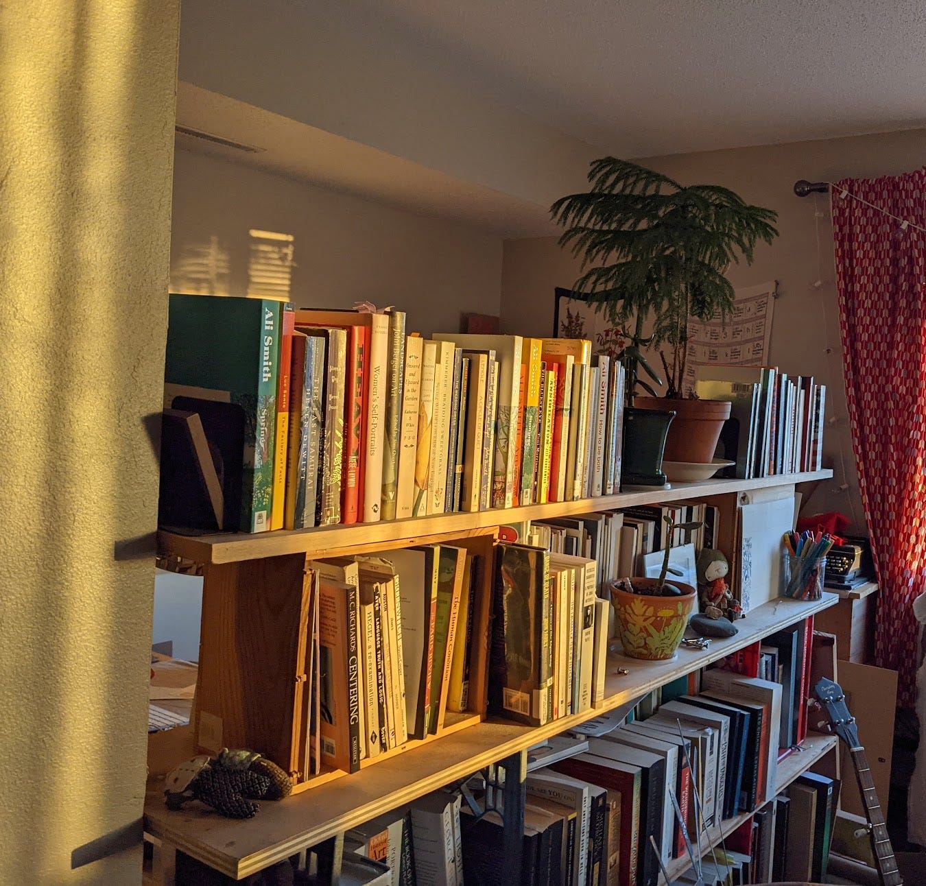 a bookshelf made of boards and boxes, holding books, plants, small toys