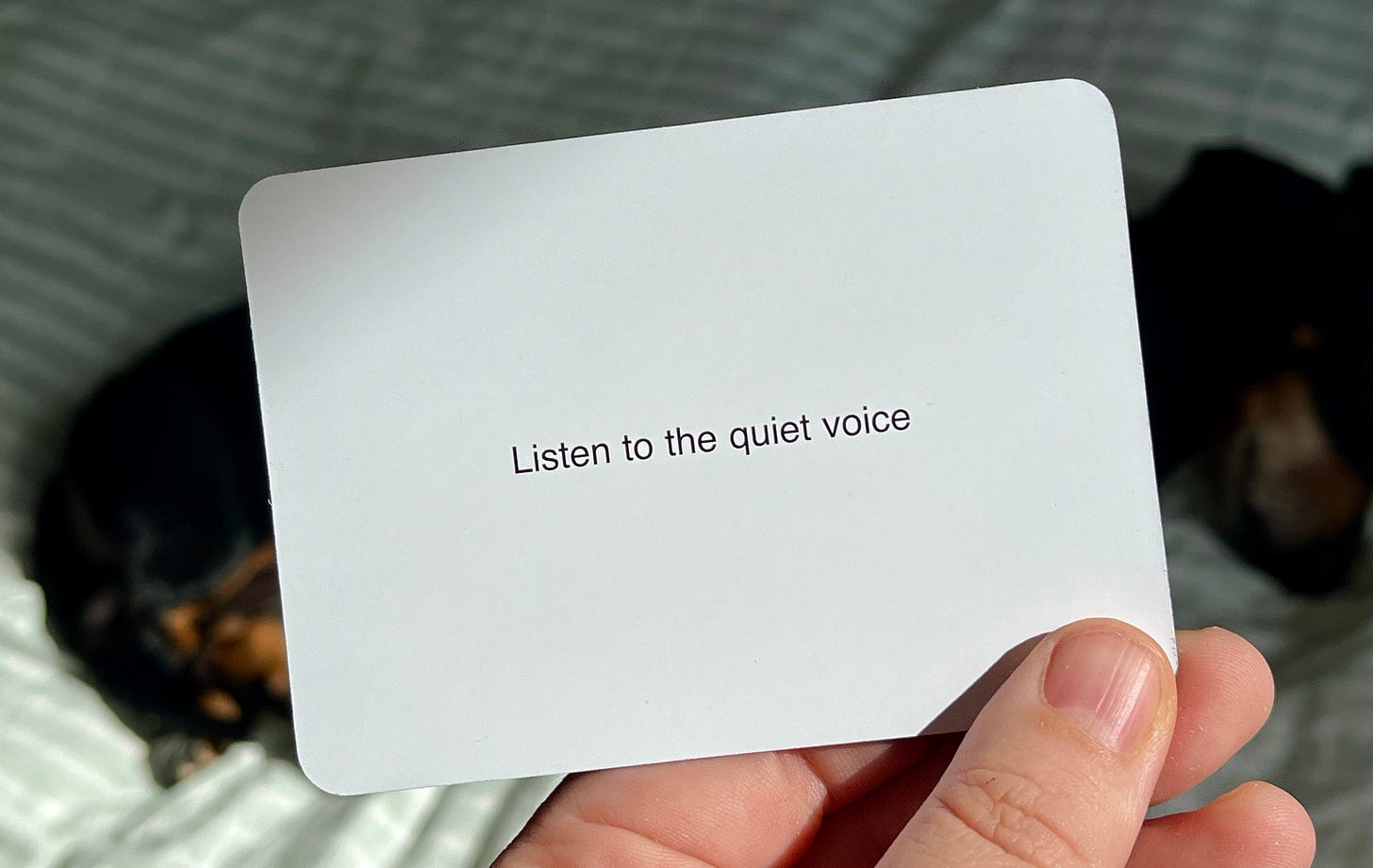 a hand holds a white card with black text reading "listen to the quiet voice", while a blurry dachshund rests in the background