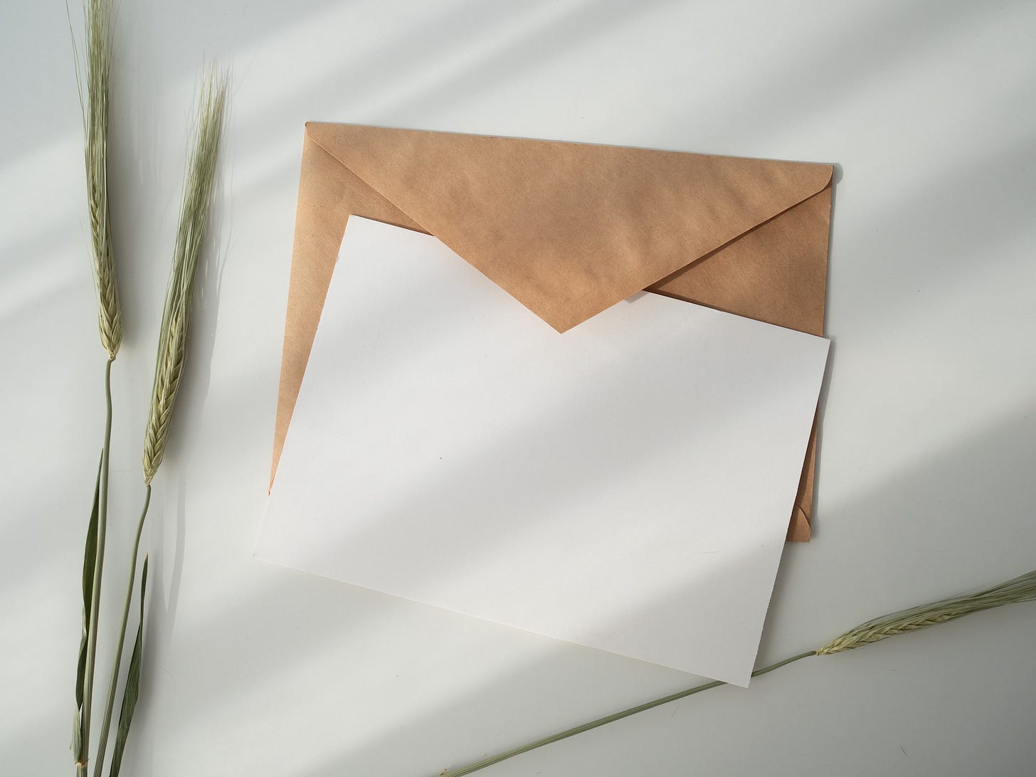 https://creativemarket.com/KateMacate/shop/templates https://creativemarket.com/KateMacate/shop/templates