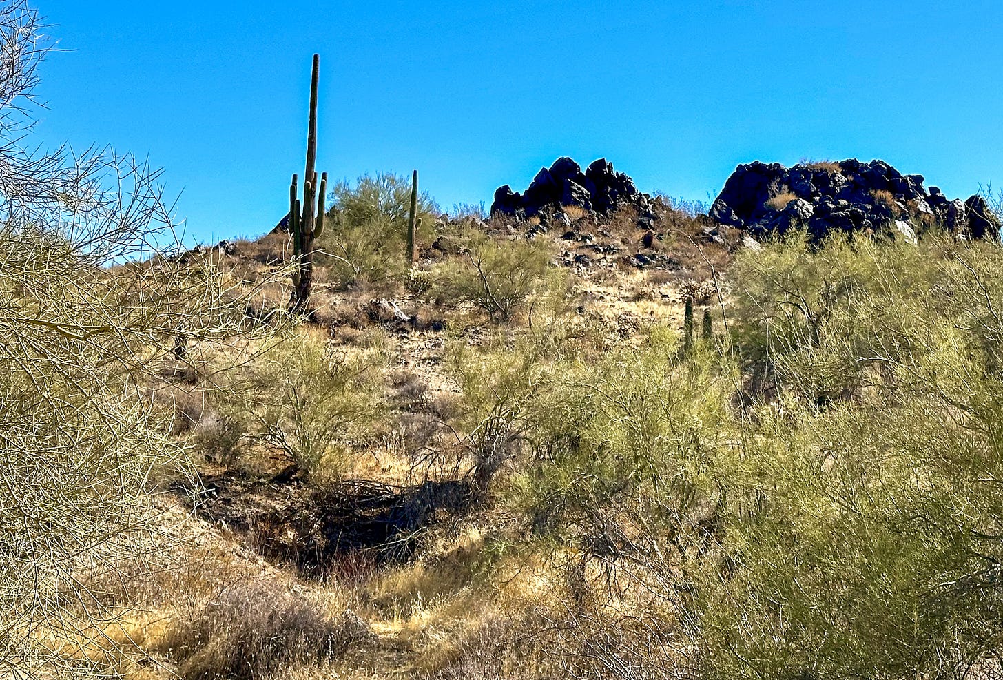 View from the trail in the Sonoran Desert