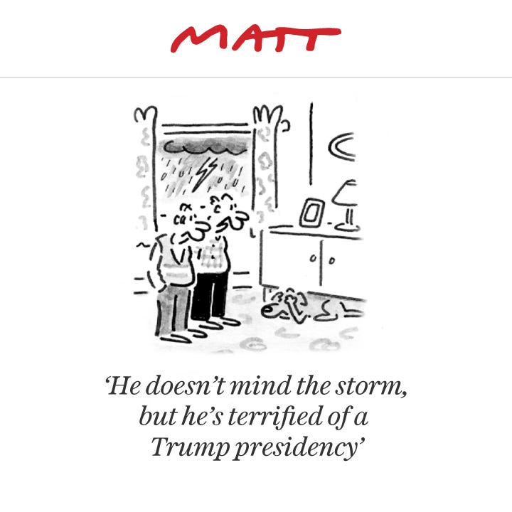 Matt cartoons, July 2016 | Matt, Cartoon, Humor
