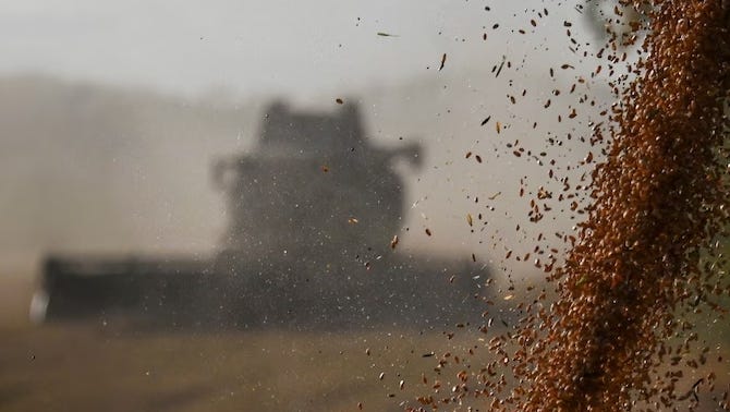 The government is set to release more wheat stocks into the open market.