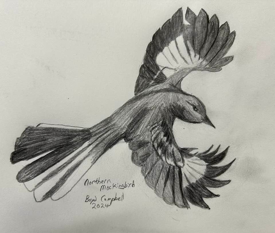 May be an illustration of bird