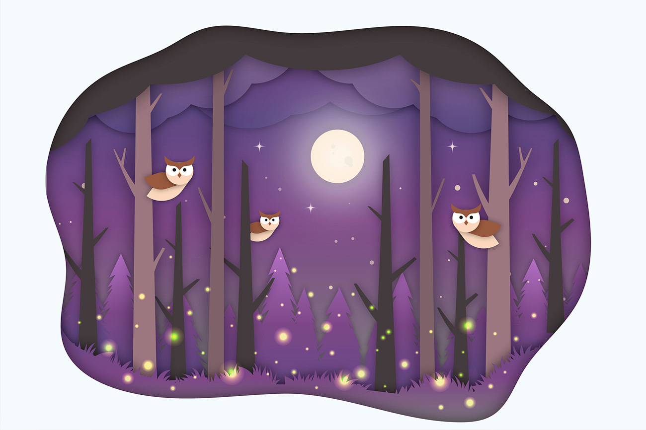 A magical forest at night: it is purple with trees, a full moon, owls, and fireflies. 