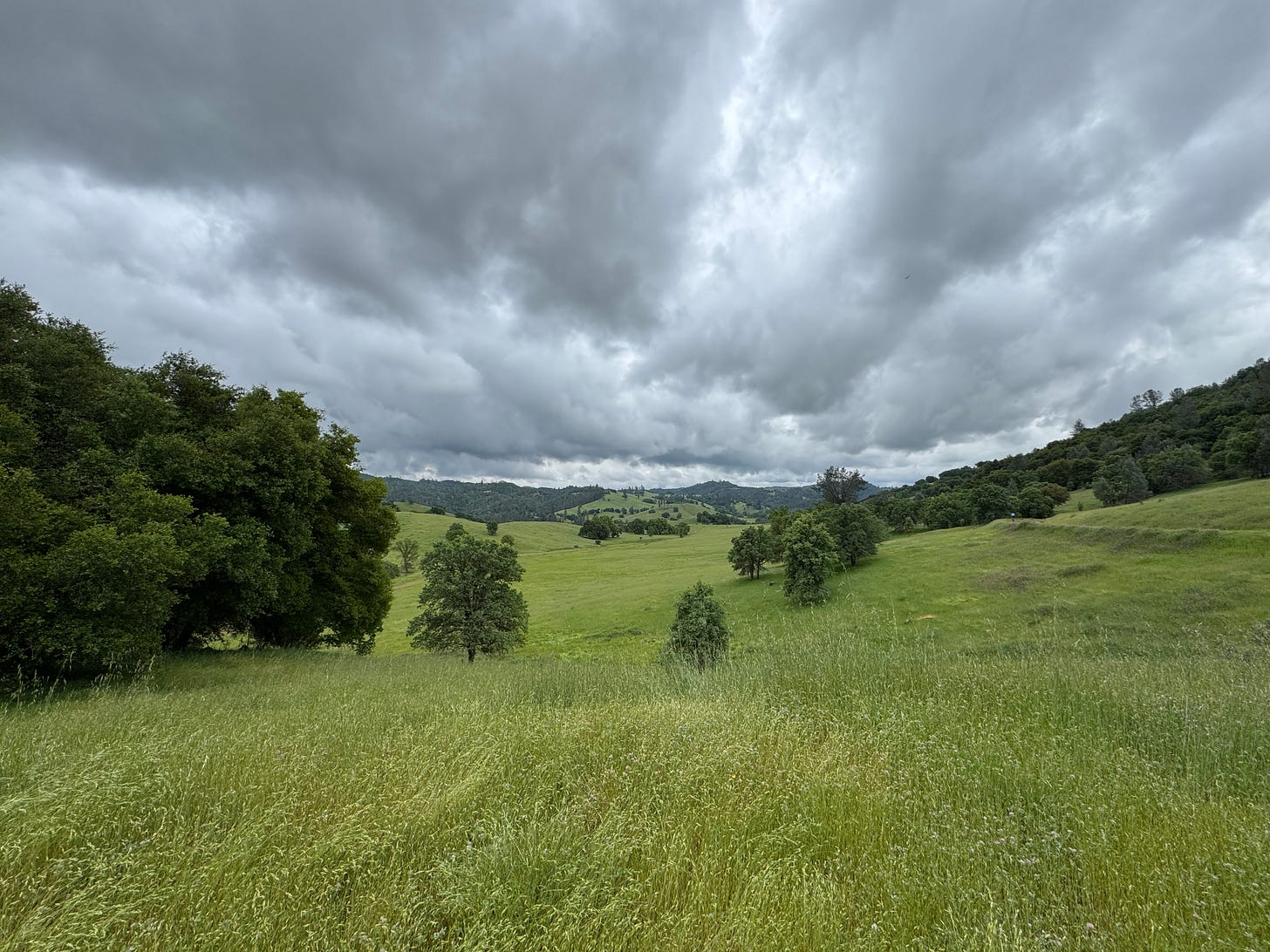 Green hills and trees under stormy skies