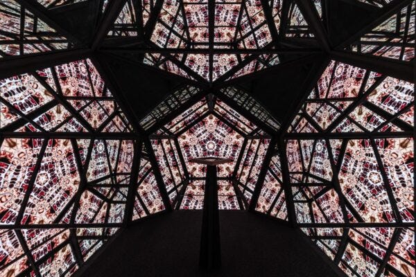 Immersion Installation Photo = Pasqua Wines