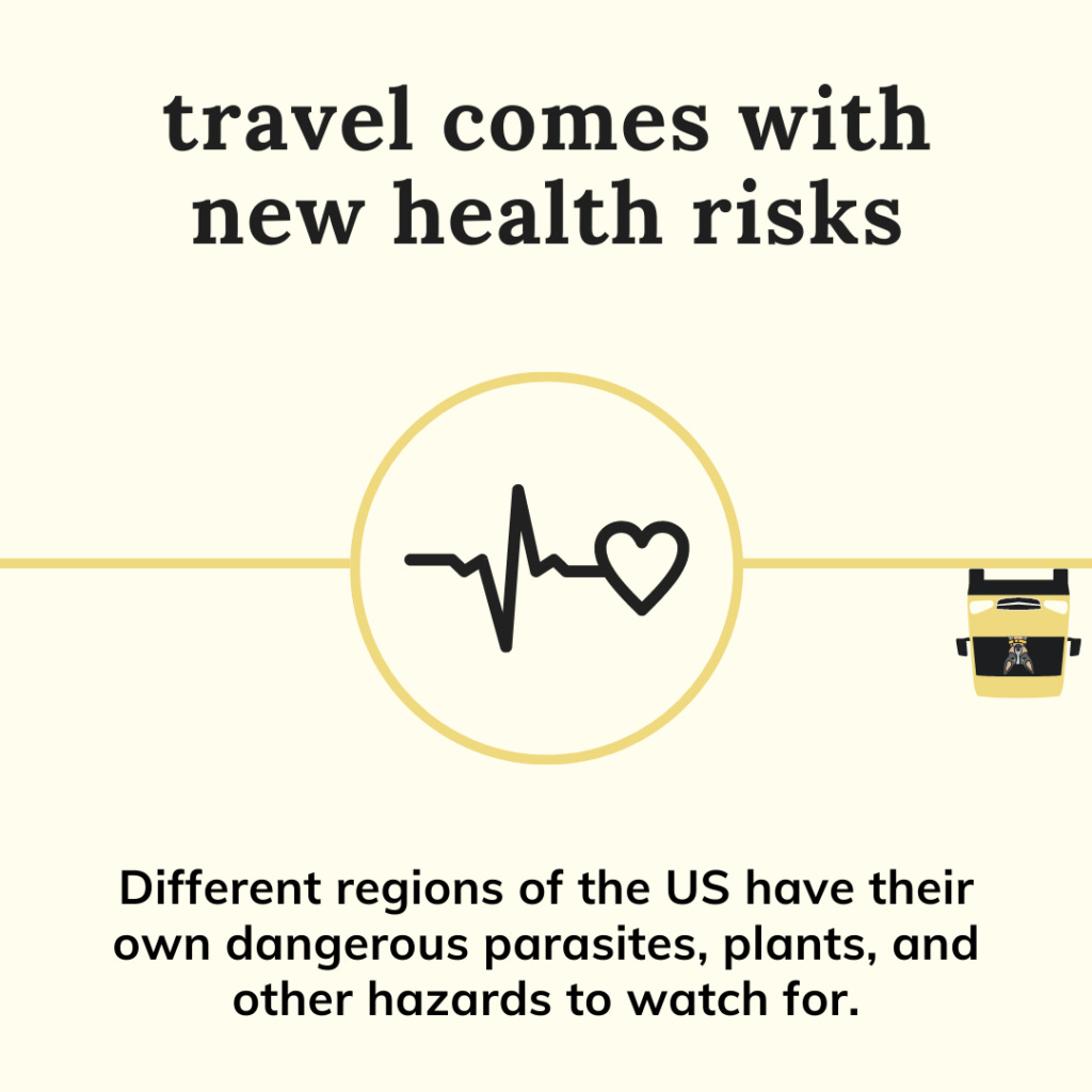 Travel comes with new health risks