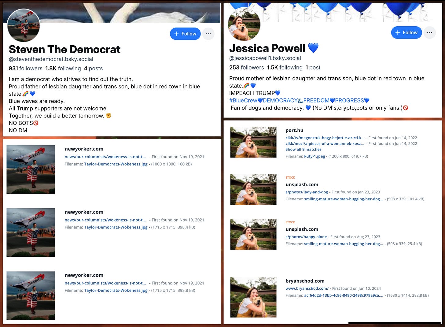 screenshots of steventhedemocrat.bsky.social and jessicapowell1.bsky.social profiles, and reverse image searches showing that their profile photos are plagiarized