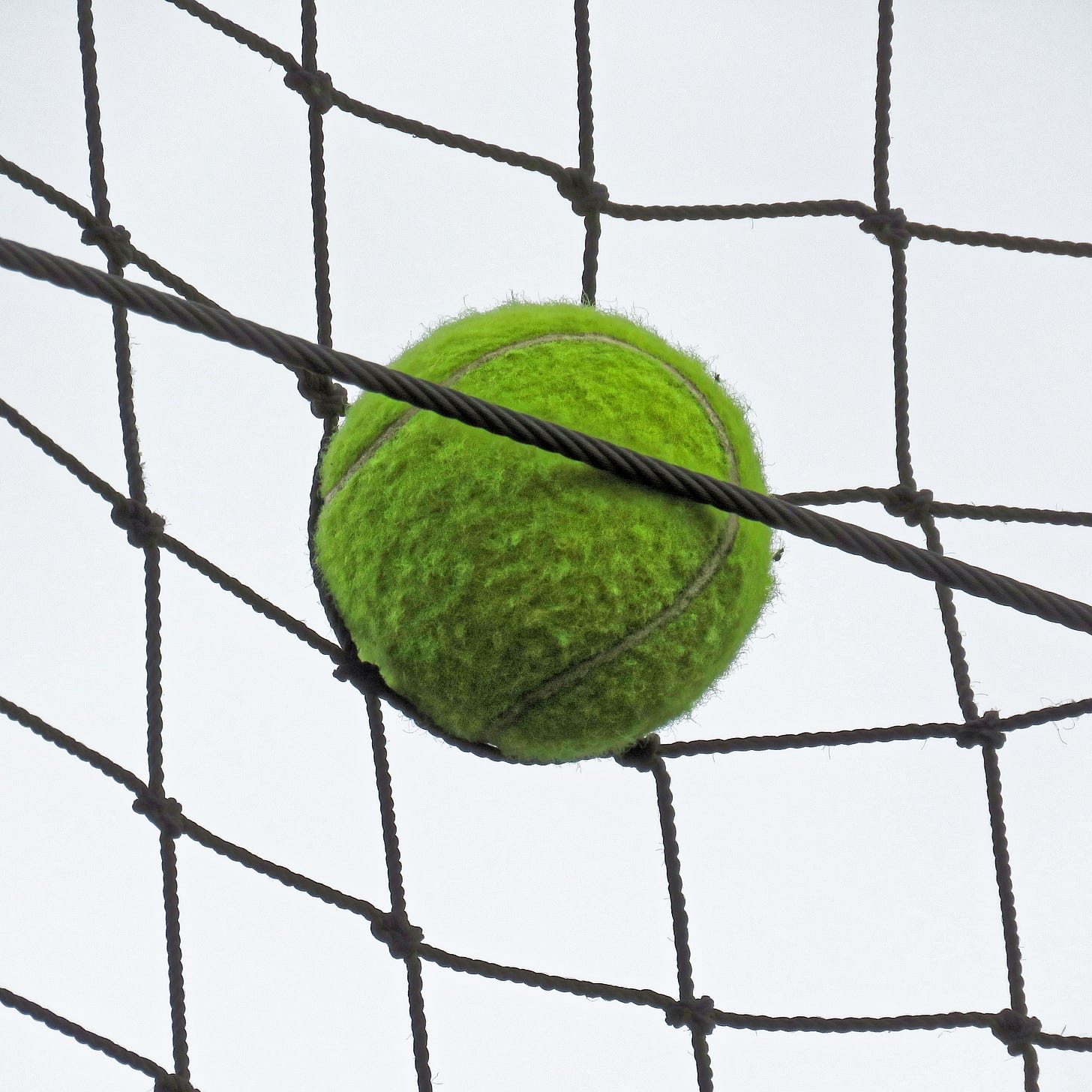 Tennis ball at Highgate Cricket Club, Crouch End, London