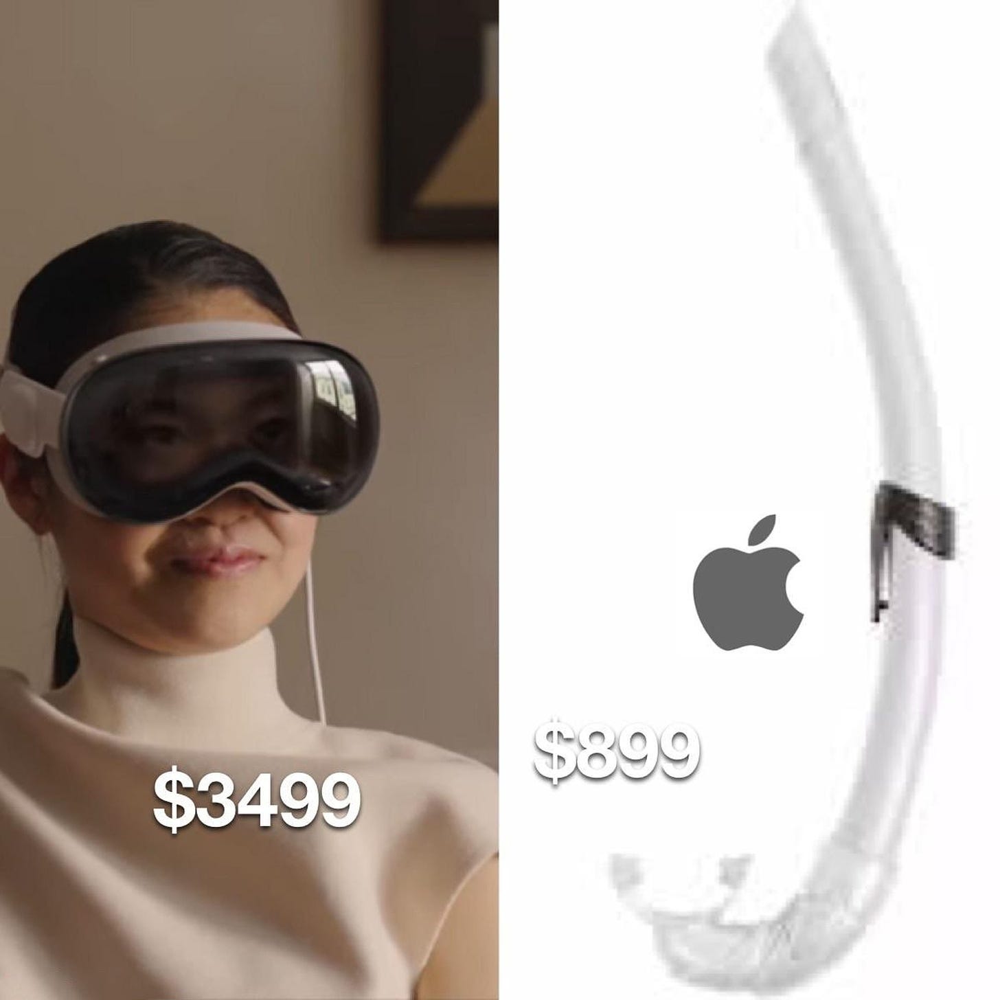 A meme containing two images side-by-side. On the left eye woman is sitting in goggles which are the Apple vision pro but look very much like diving goggles. The images labelled with the pricetag $3499. The image on the right is of a white diving snorkel, which has the Apple logo next to it and is prices at $899