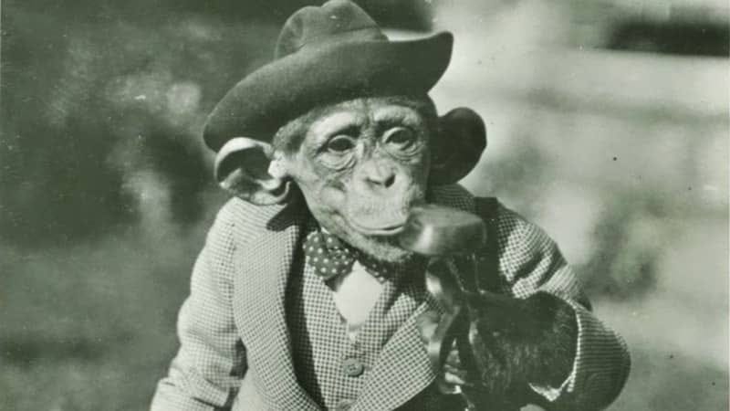 The Scopes Monkey Trial - Appalachian History -