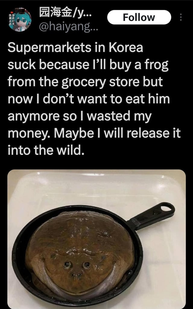 r/comedyheaven - frog