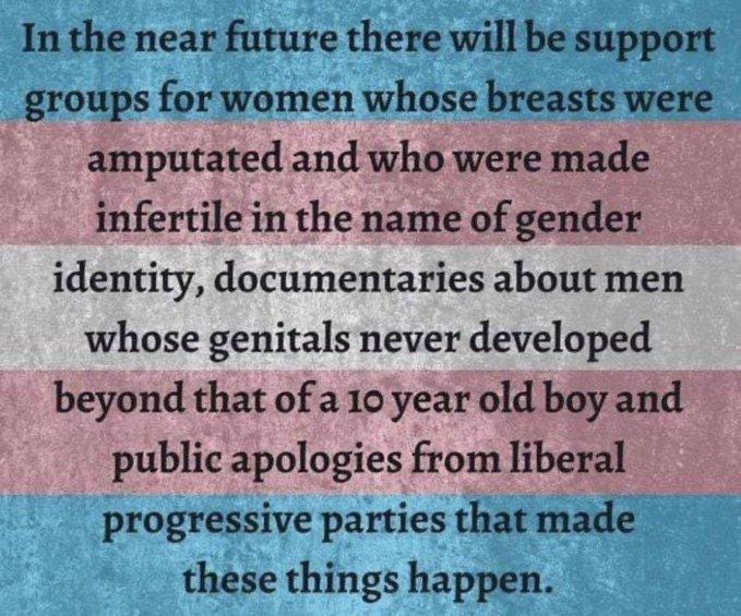 May be an image of text that says 'In the near future there will be support groups for women whose breasts were amputated and who were made infertilein the nameof gender identity, documentaries about men whose genitals never developed beyond that a old boy public apologies from liberal progressive parties that made these things happen.'
