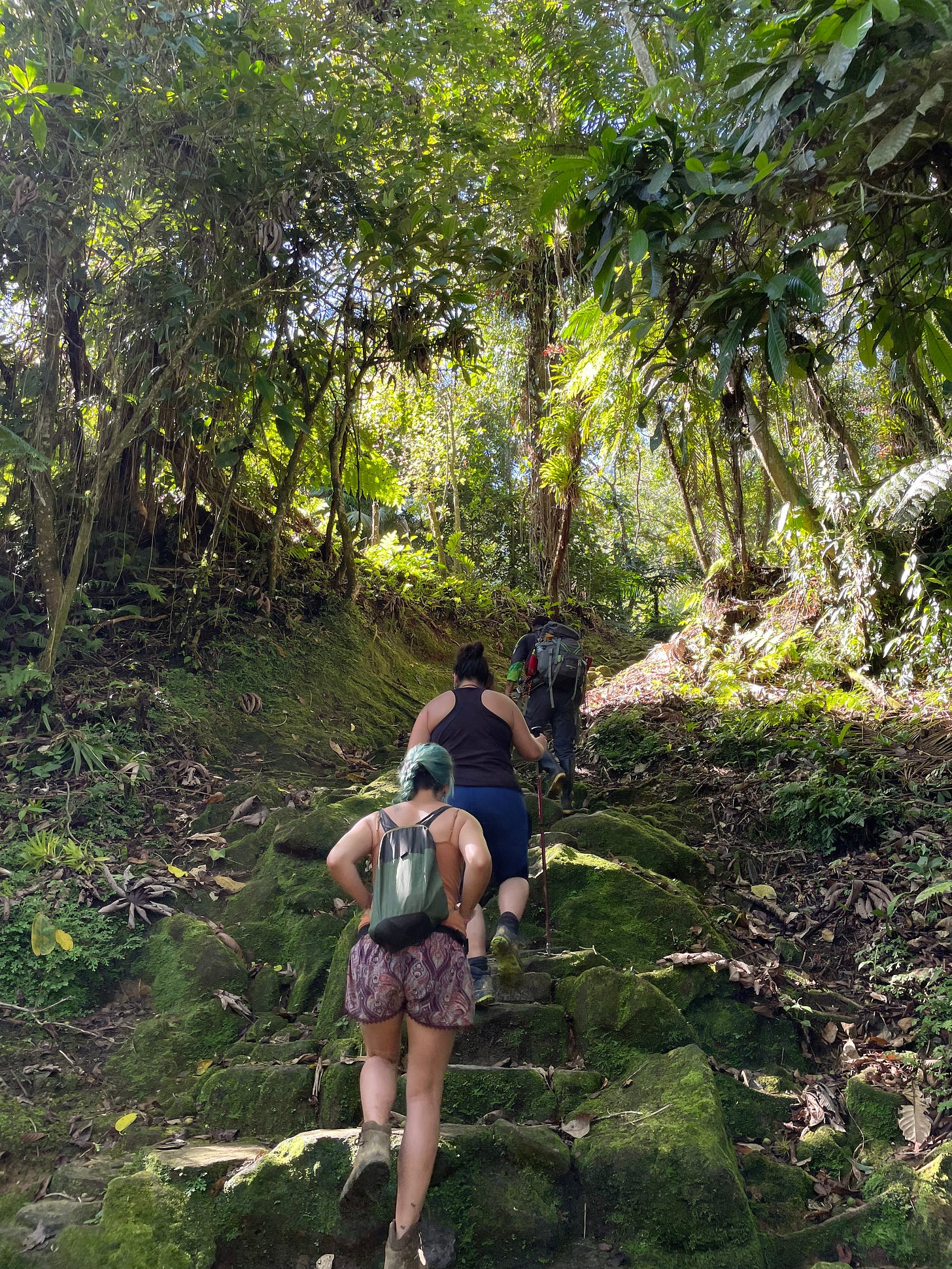 Hikers ascend a steep stone staircase winding up through dense green jungle