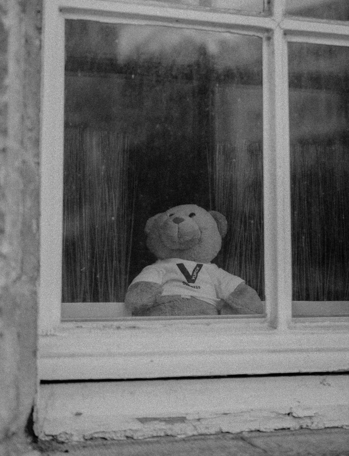 black and white, teddy bear leaning against window, alone looking out