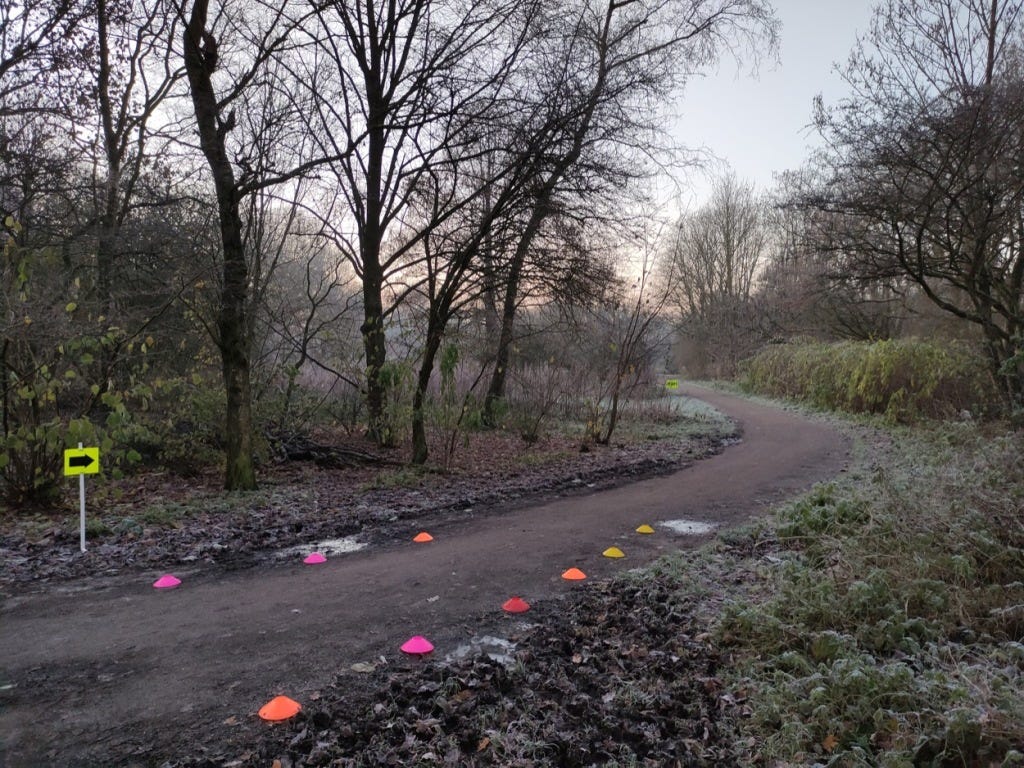 Multi-coloured small cones mark the turn, running on a path with green verges.