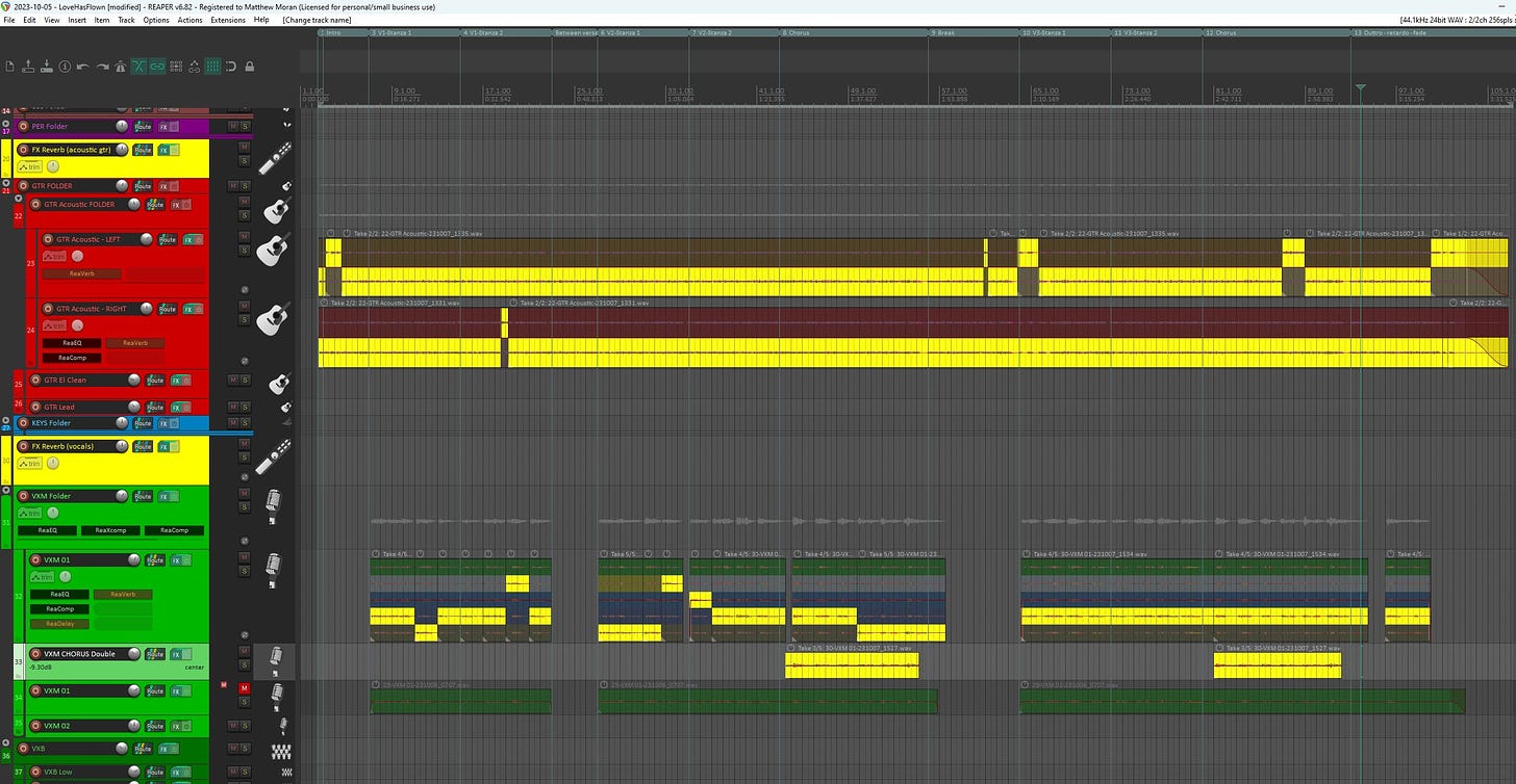 An image of my recording software showing highlighted guitar and vocal tracks.