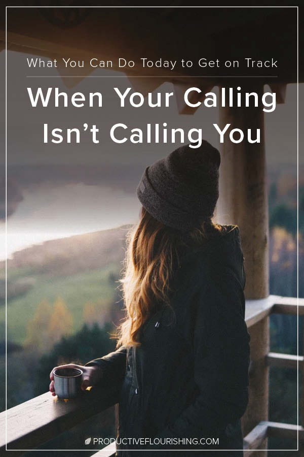 The idea of having a life guided by your calling keeps you from getting busy living the life that’s right in front of you. Check out this email exchange for more. https://productiveflourishing.com/your-calling-isnt-calling-you/ #productiveflourishing #financialplanning #savings #budgeting #smallbusiness #creativity