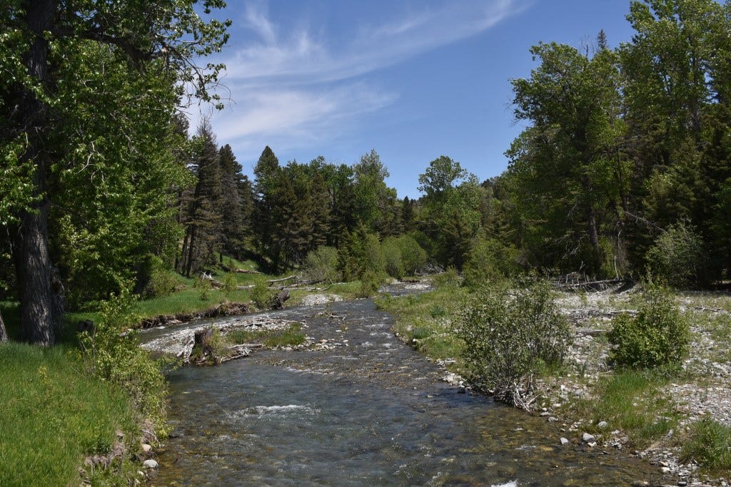 A creek.
