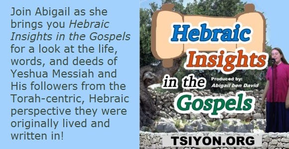 Hebraic Insights into the Gospel promo