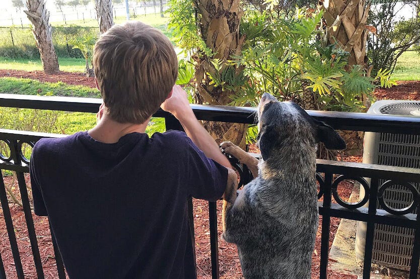 Sean and Scout looking into the distance from our Florida porch