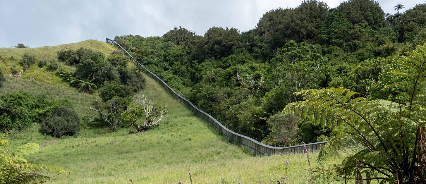 On the left, green grass with a few scrubby bushes. On the right, riotous forest. Inbetween, a fence marches up a hill.