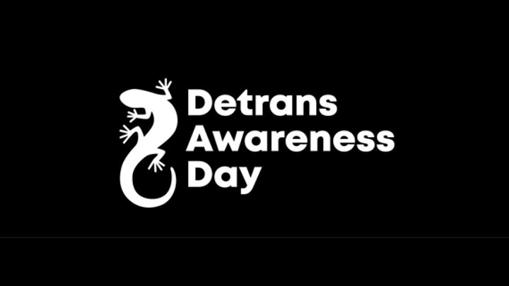 Detrans Awareness Day | Blog | Think Theology
