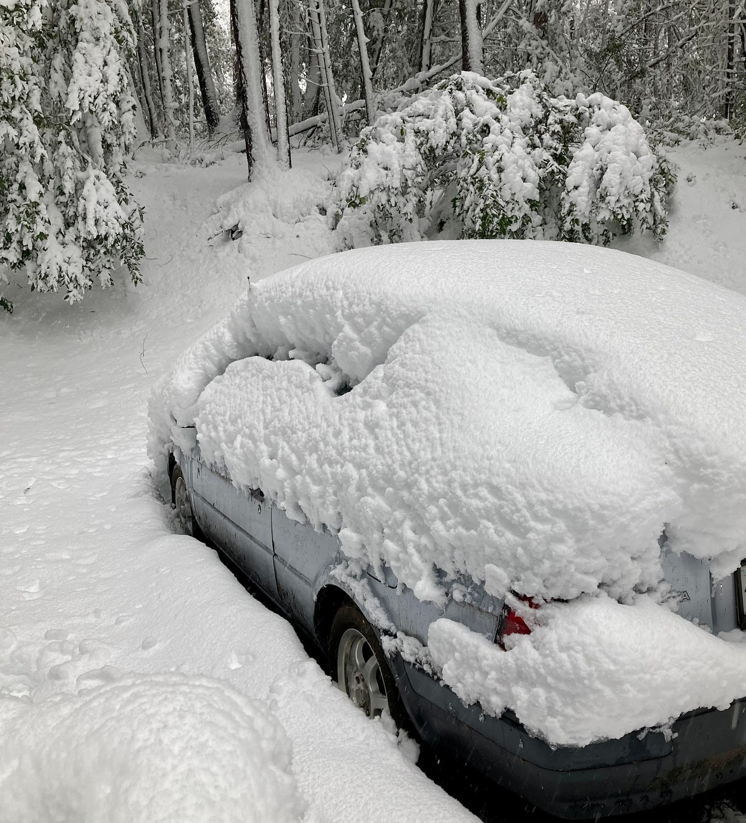 My car is buried under snow