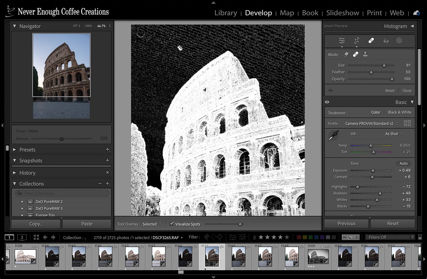 A Lightroom Classic window showing a photo of the Colosseum in Rome with the Visualize Spots feature turned on to make it easier to find areas that need to be erased.